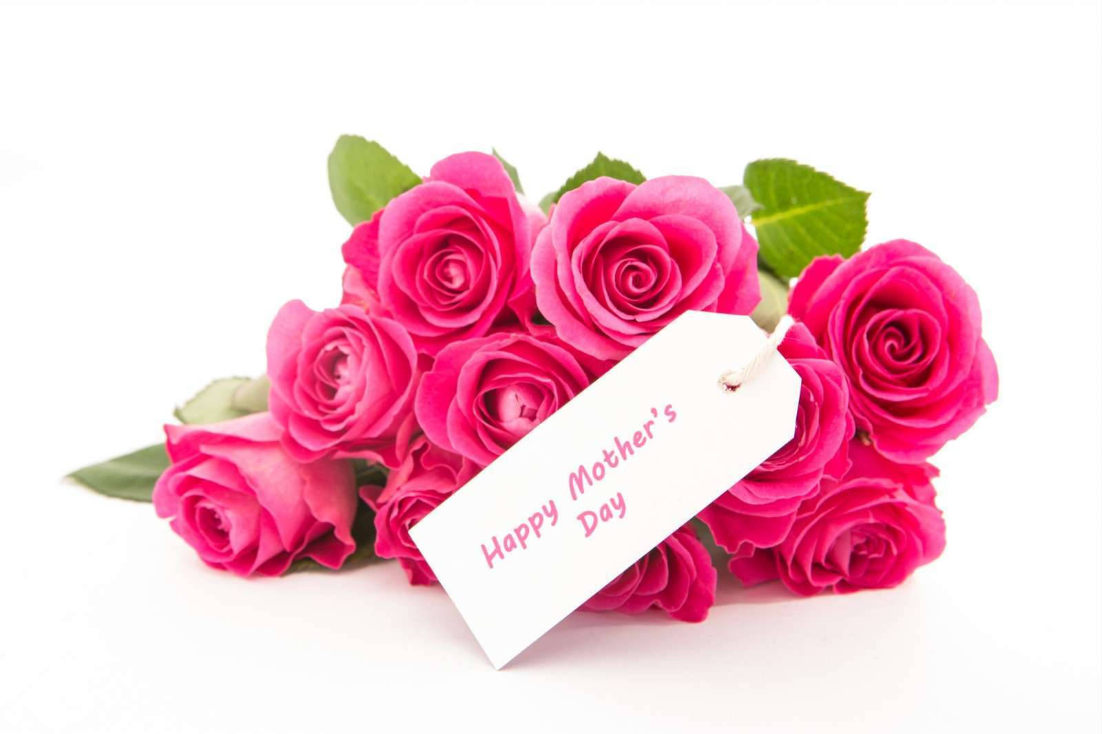 Pink Roses Bouquet Mother's Day Background