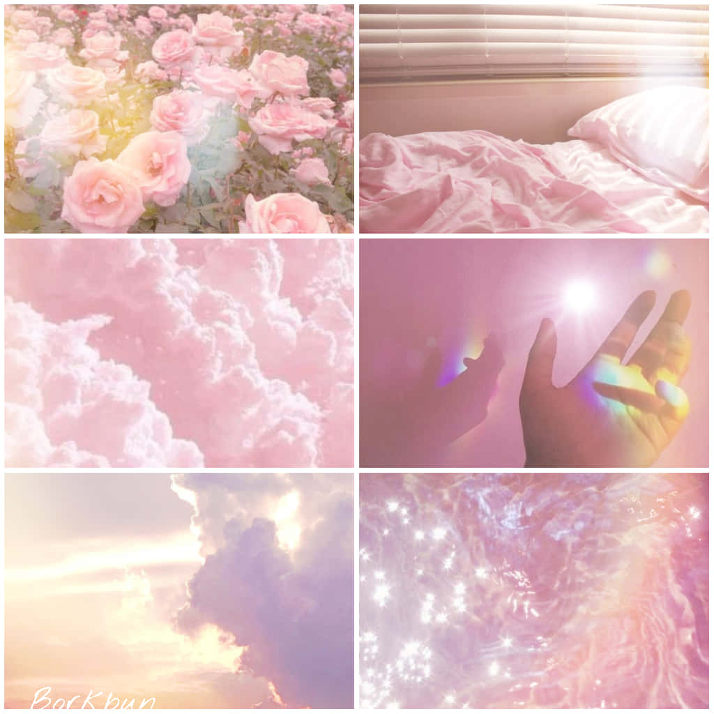 Pink Roses, Clouds, And A Bed Background