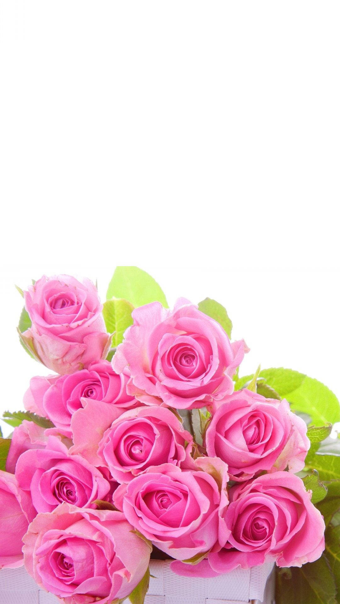 Pink Roses Flower Bouquet Background