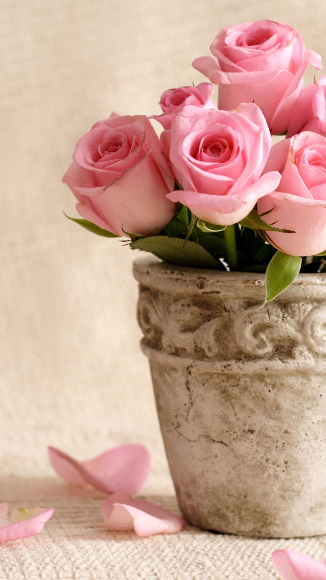 Pink Roses In A Flower Vase