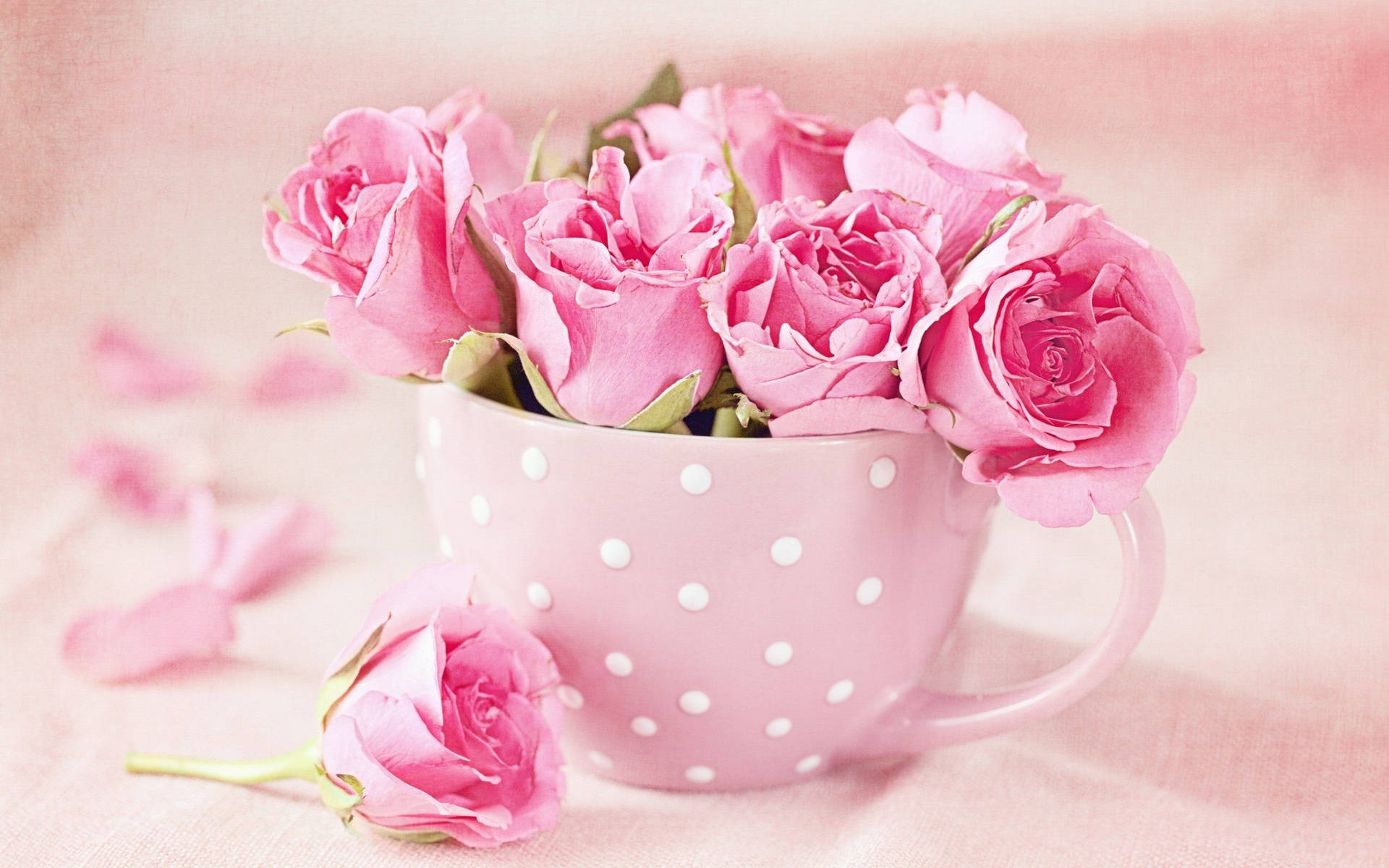 Pink Roses In A Pink Mug Background