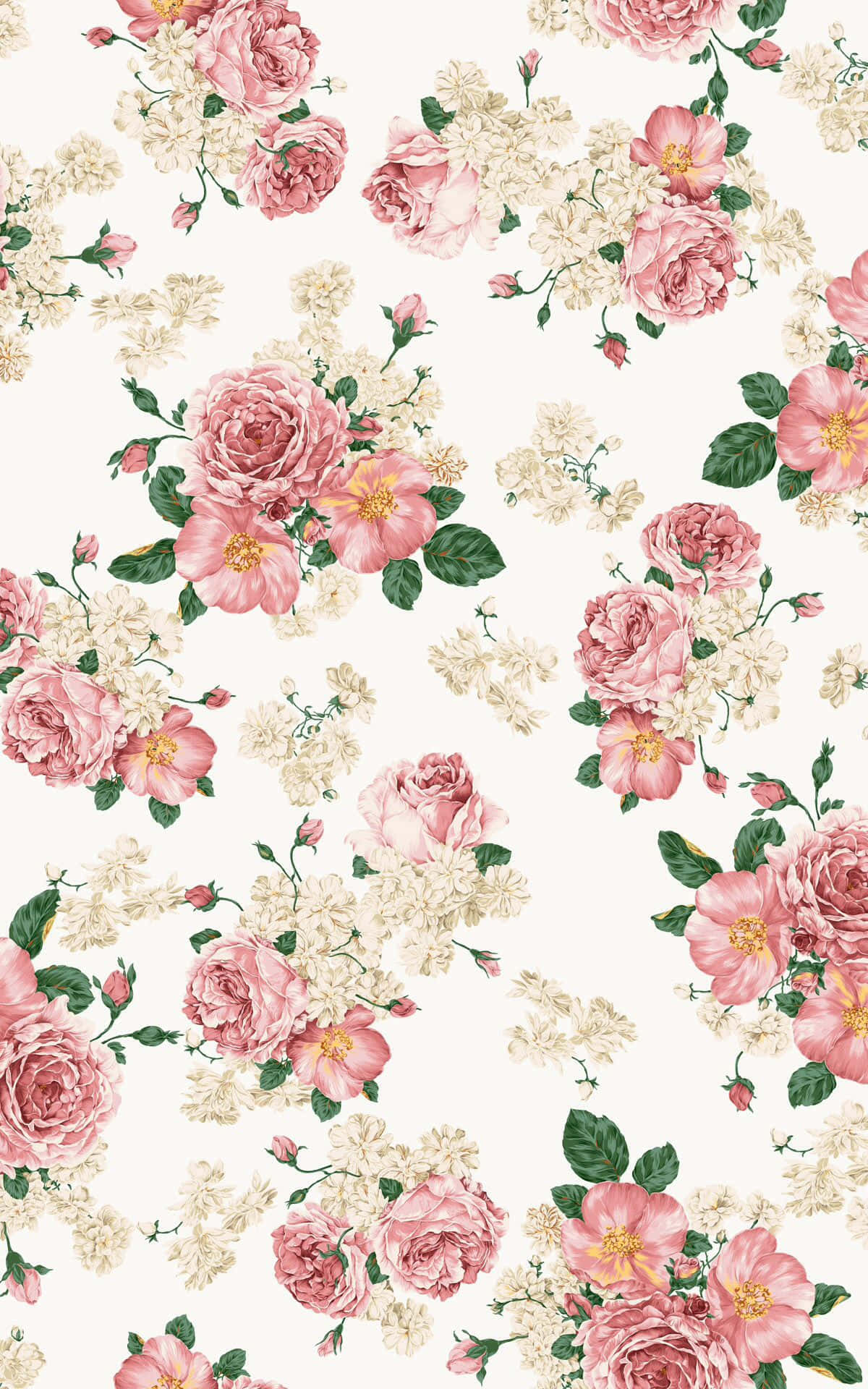 Pink Roses On A White Background Background