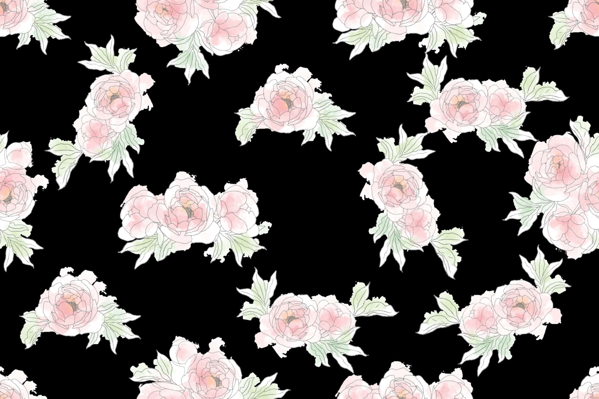 Pink Roses On Black Background Background