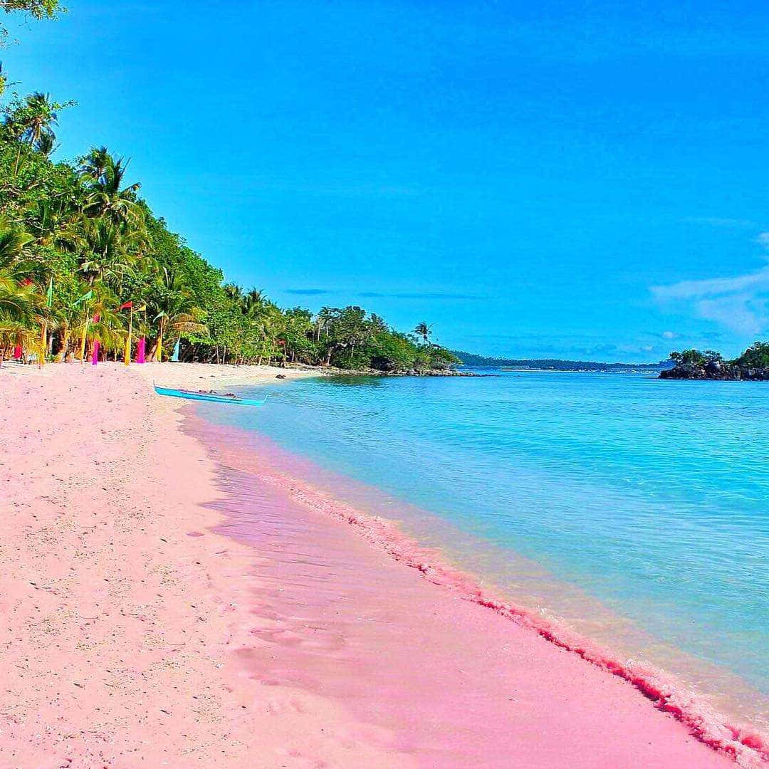 Pink Sand Beach In Philippines Background