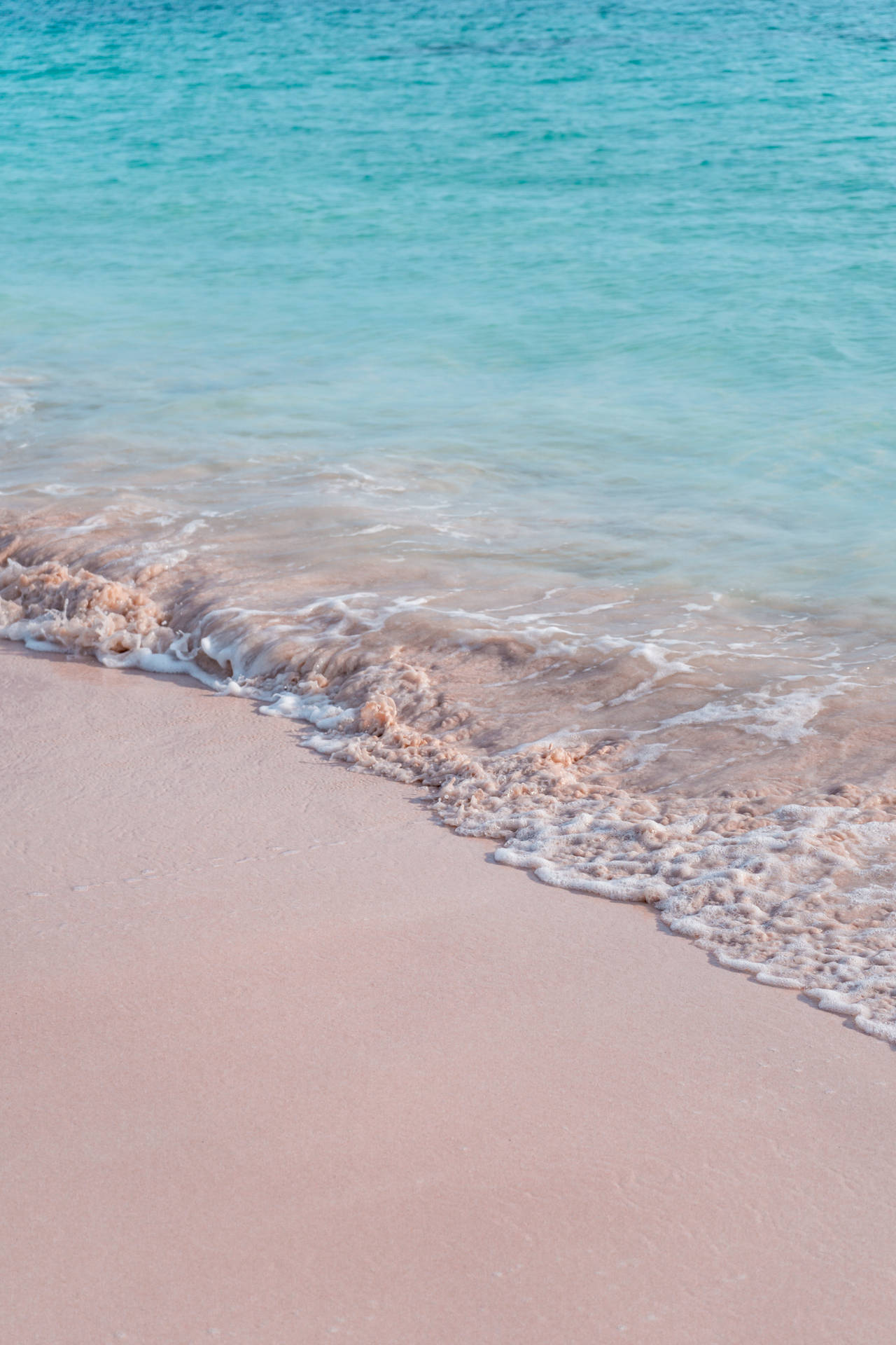 Pink Sand In The Bahamas