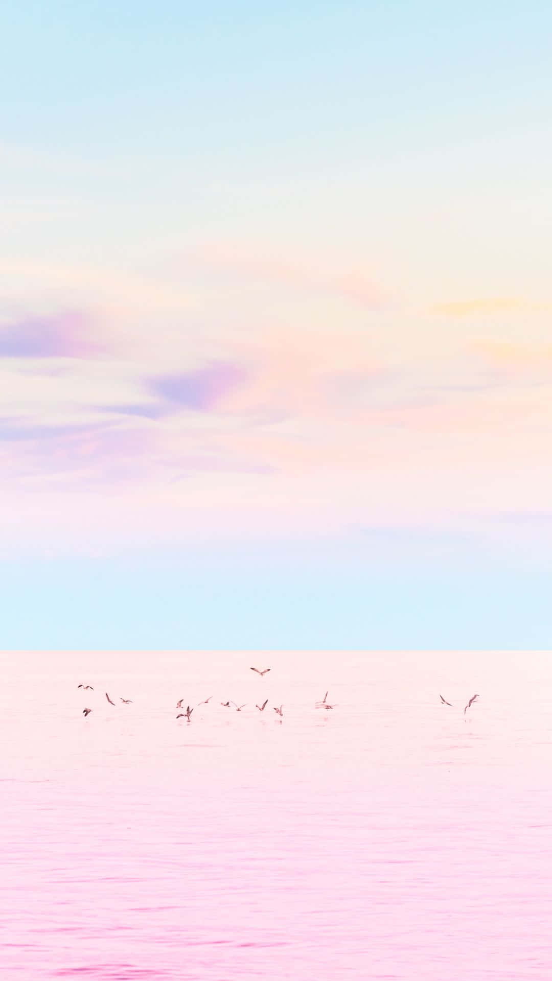 Pink Seagulls Flying Over The Ocean