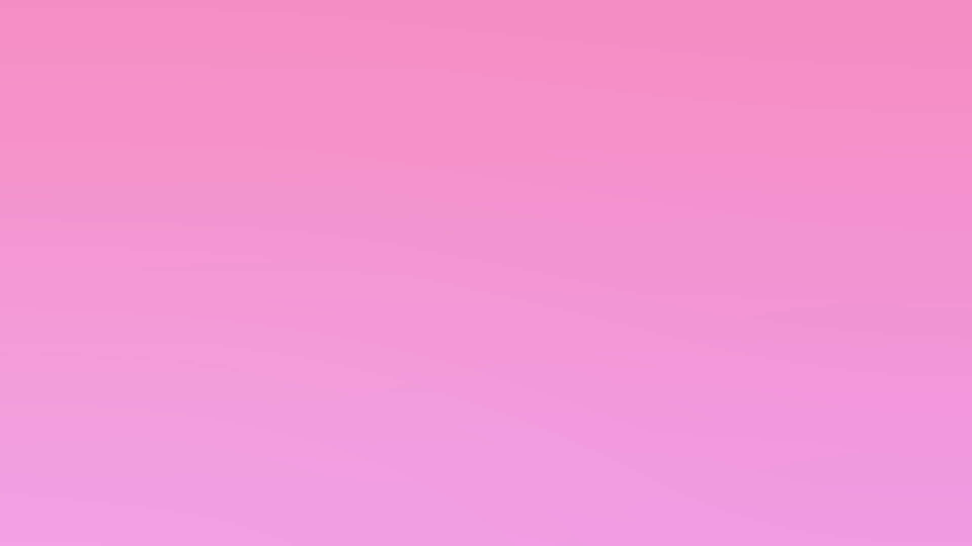 Pink Solid Color Flamingo Background