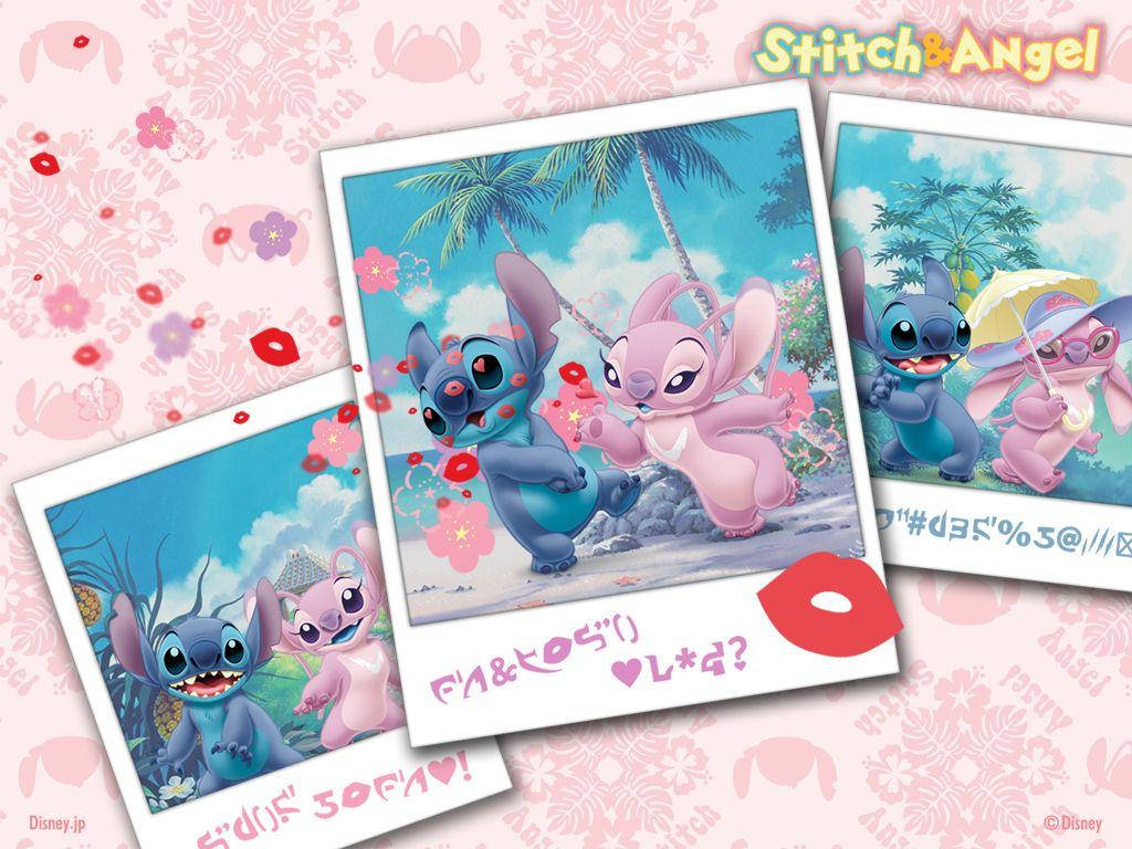 Pink Stitch And Blue Stitch Polaroid Background