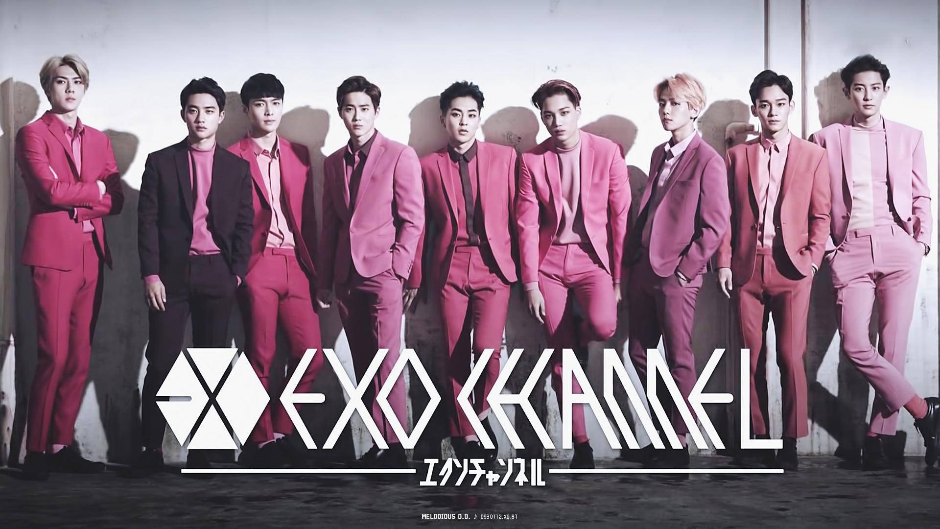 Pink Suit Exo Desktop Background