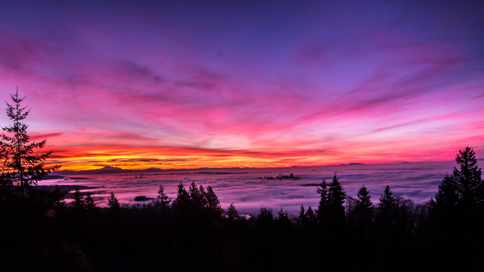 Pink Sunset Cloud Sea Background