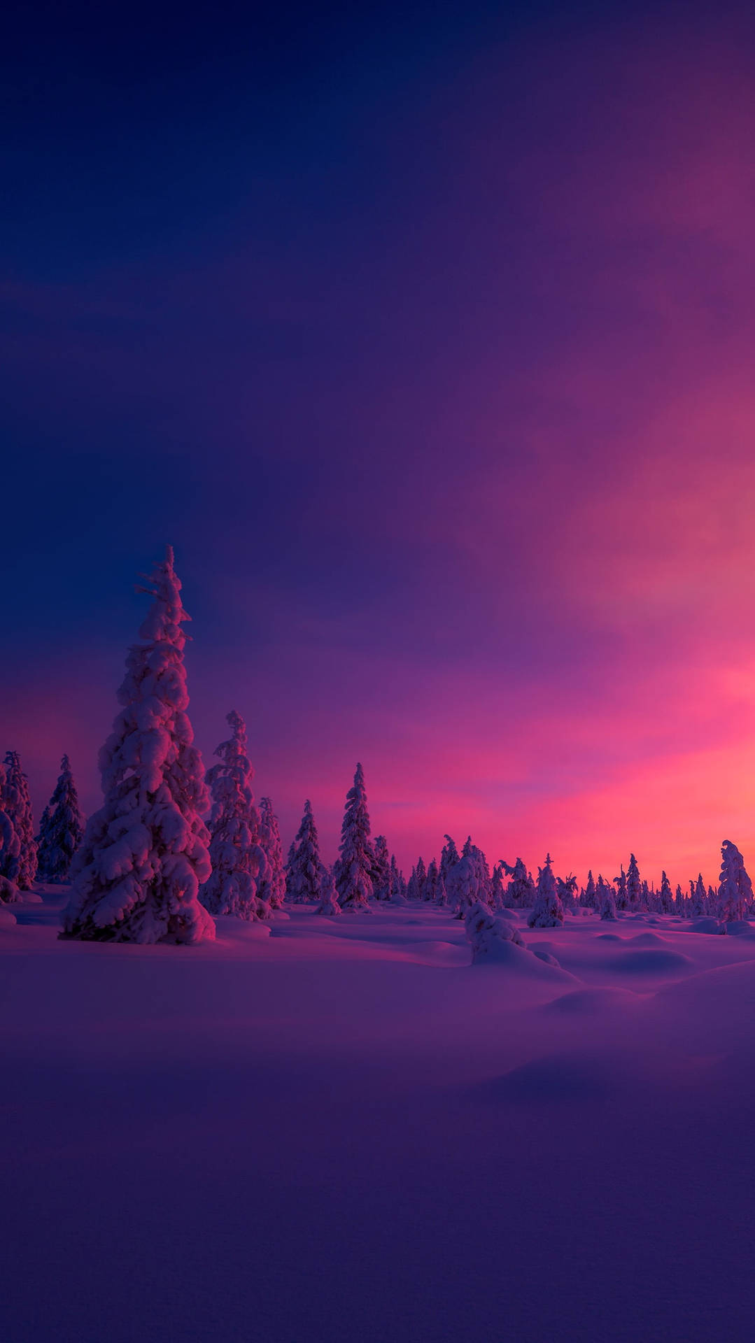 Pink Sunset Cozy Winter Background