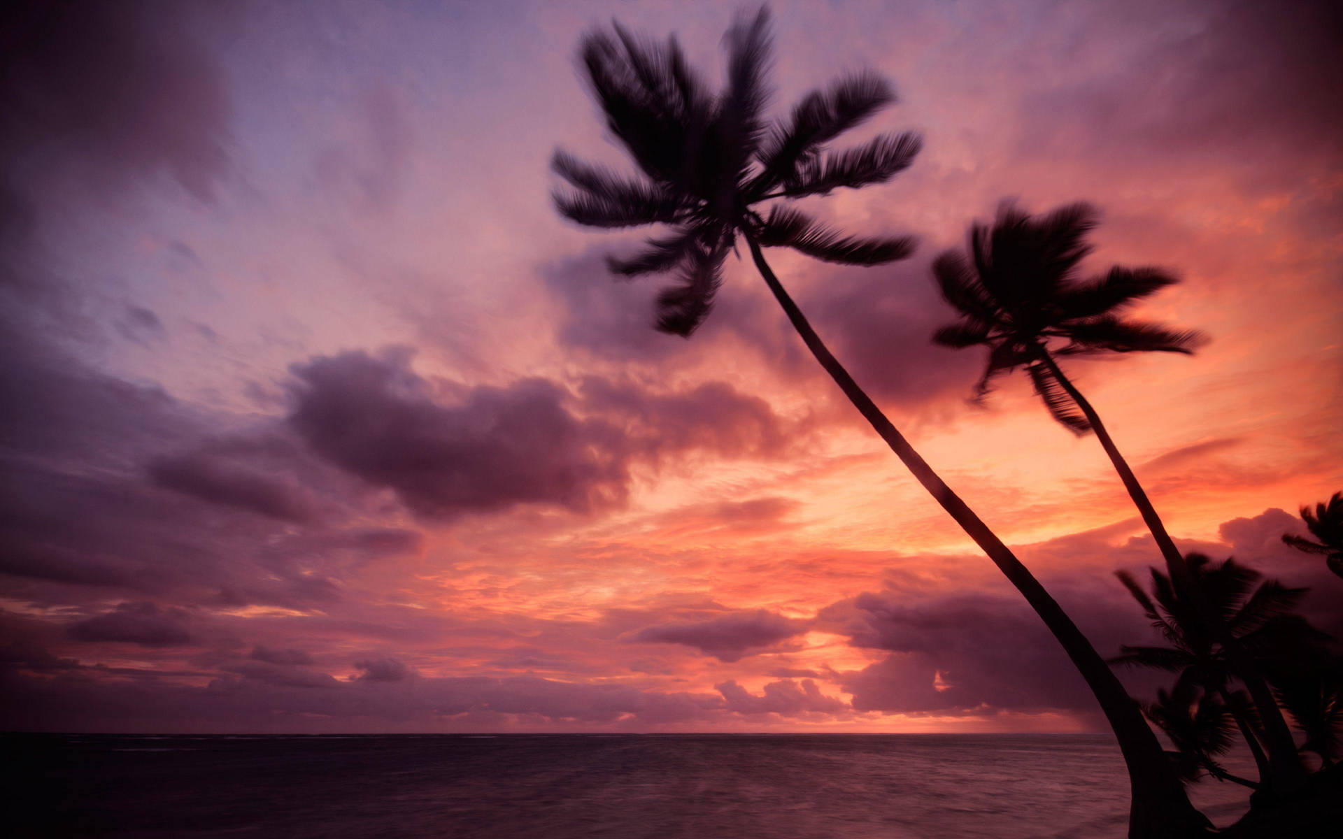 Pink Sunset Dominican Republic