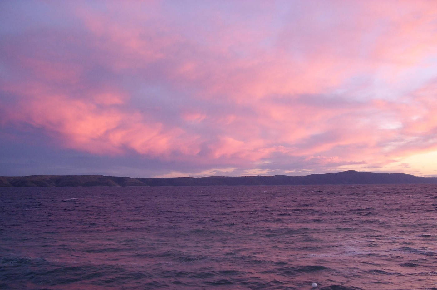 Pink Sunset Over Sea Background