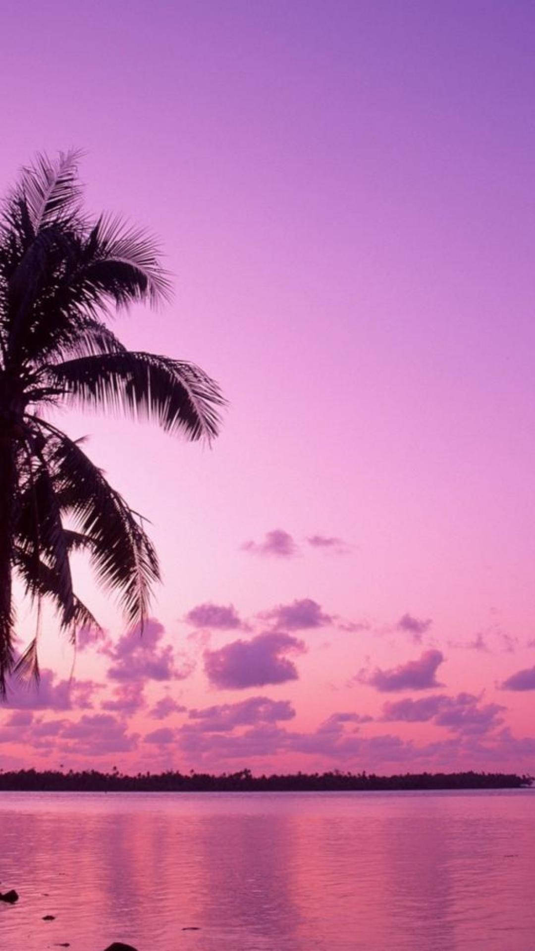 Pink Sunset Phone Background