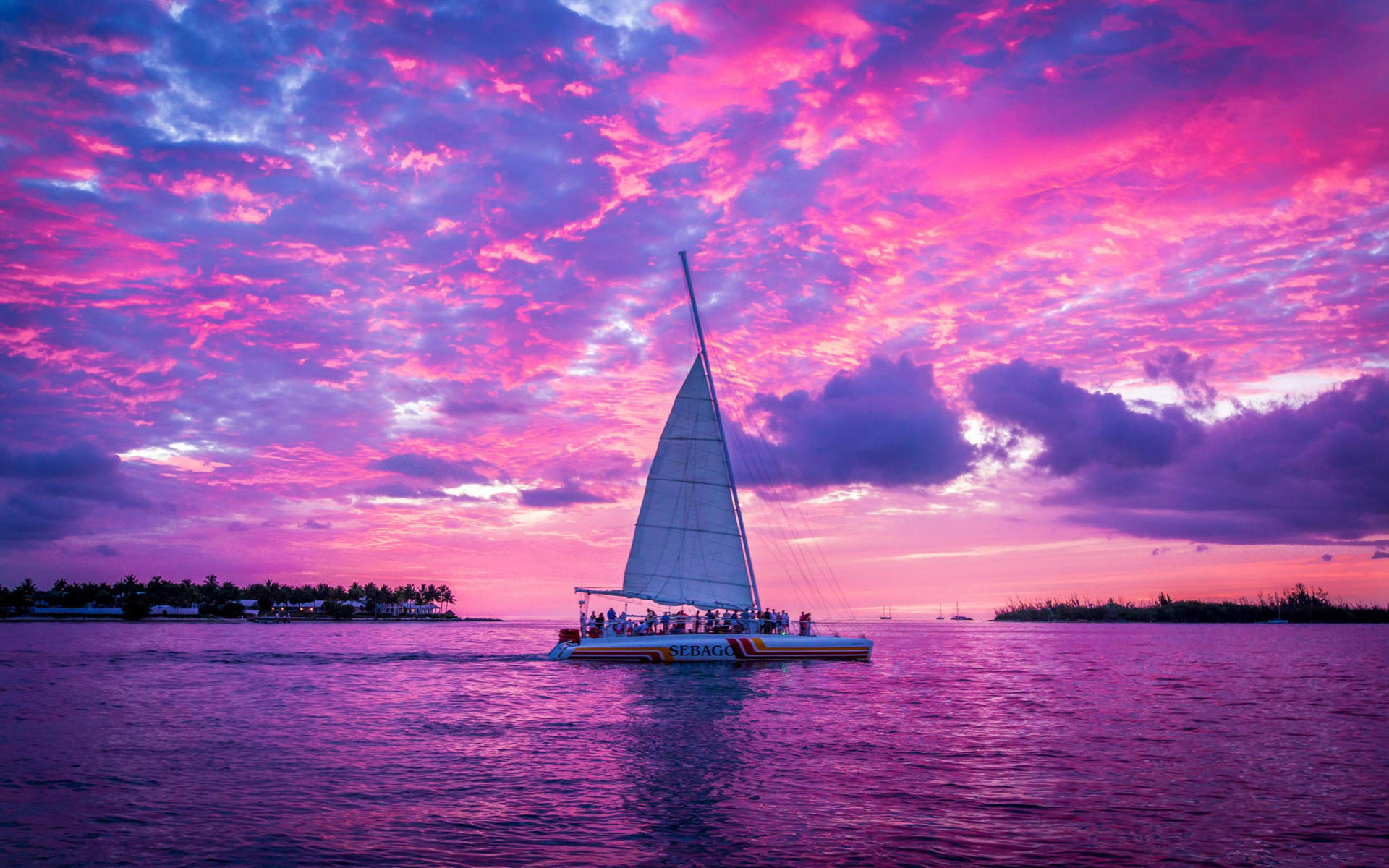 Pink Sunset Sailing Background