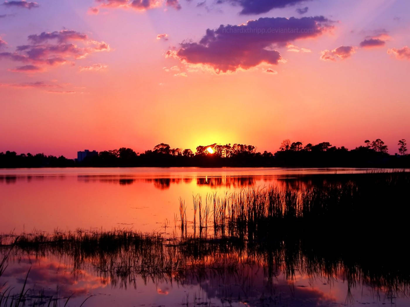 Pink Sunset Silhouettes Background