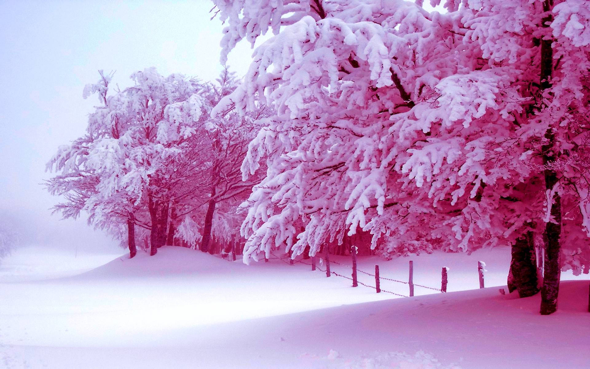 Pink Tree Snow Aesthetic Background