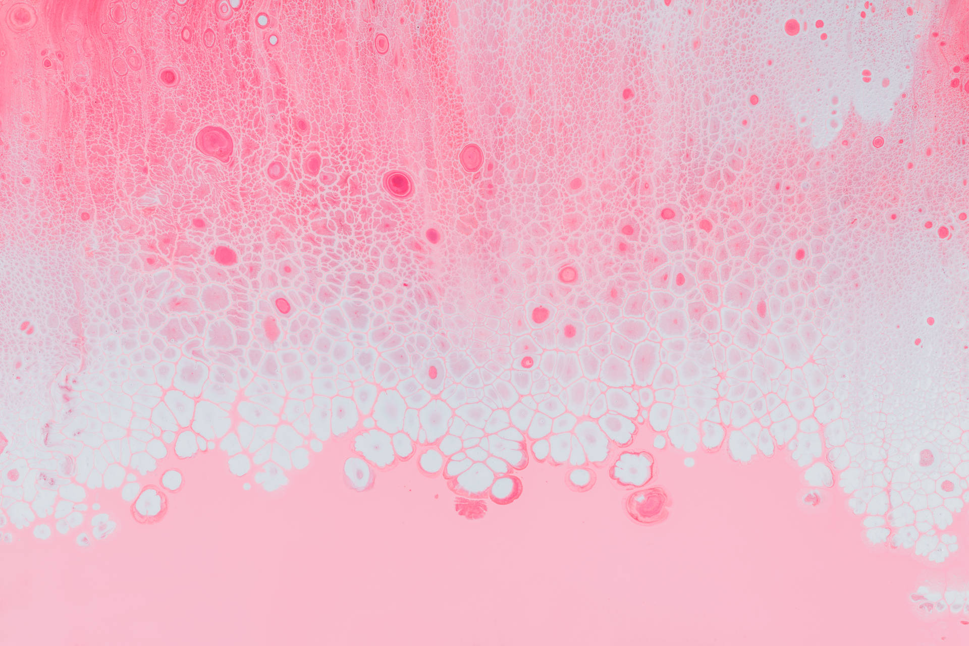 Pink Wall With Textured Paint