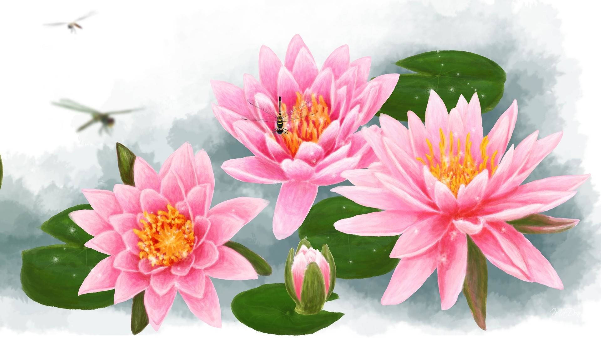 Pink Water Lilies Artwork