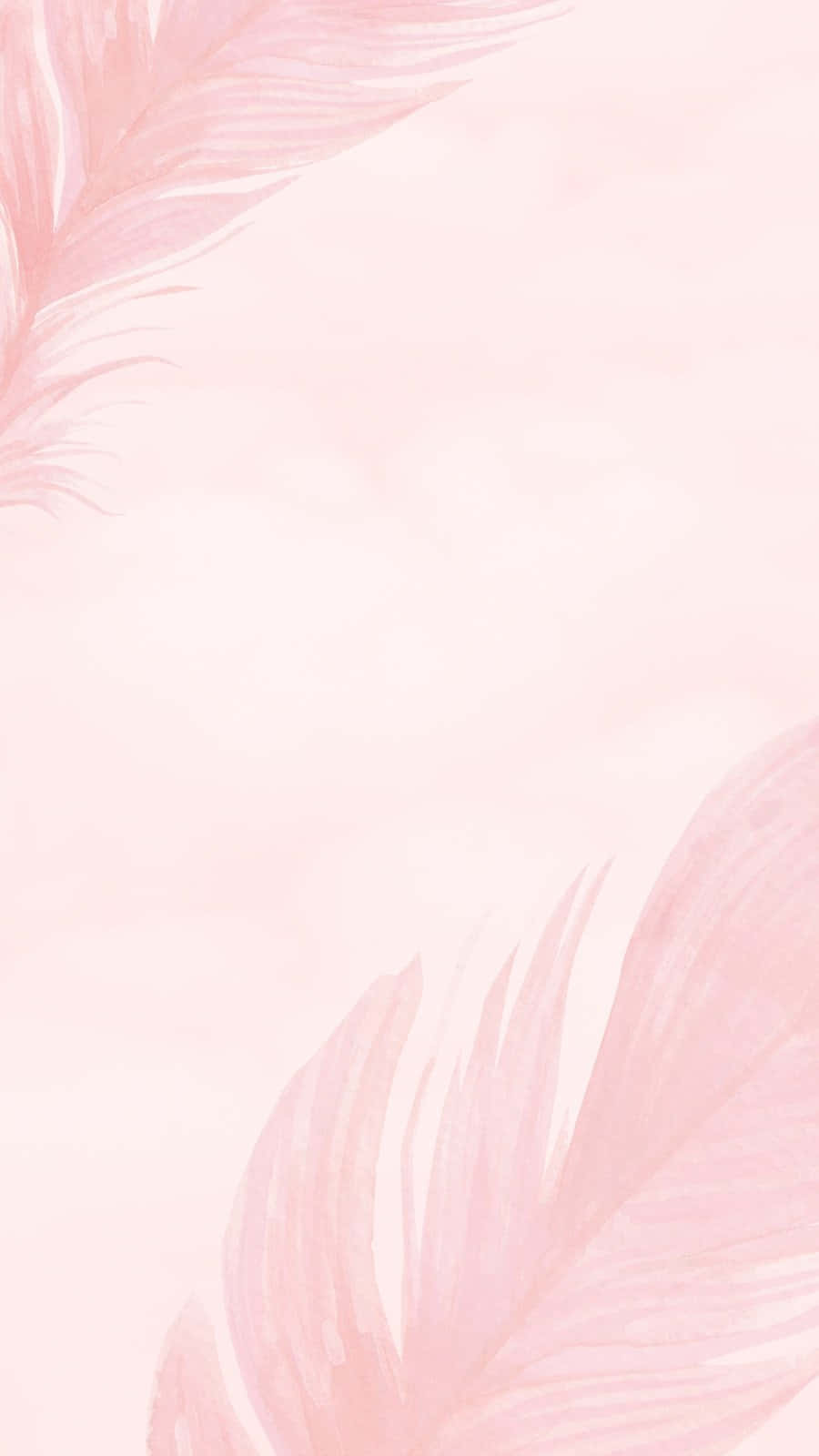 Pink Watercolor Feathers Background Background