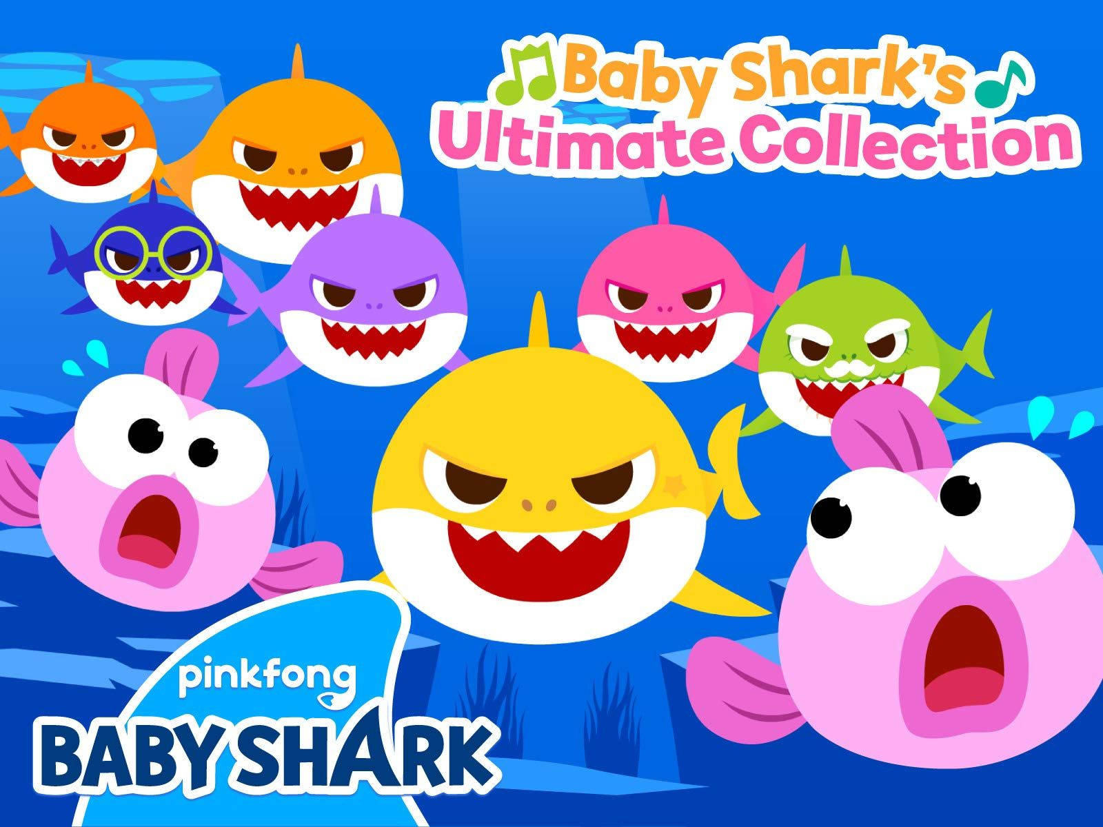 Pinkfong Baby Shark Ultimate Collection Background