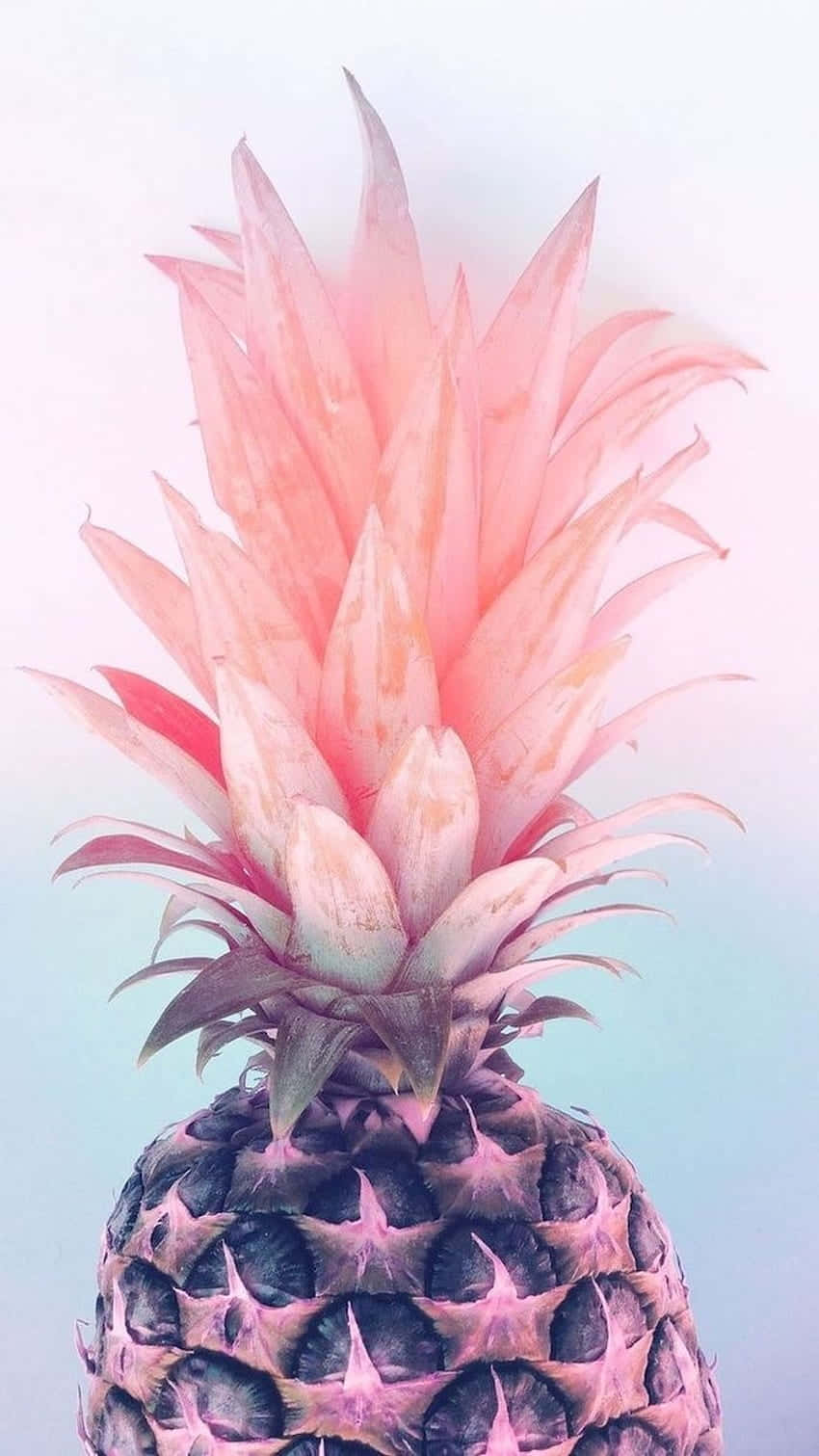 Pinkglow Cute Pink Pineapple Background