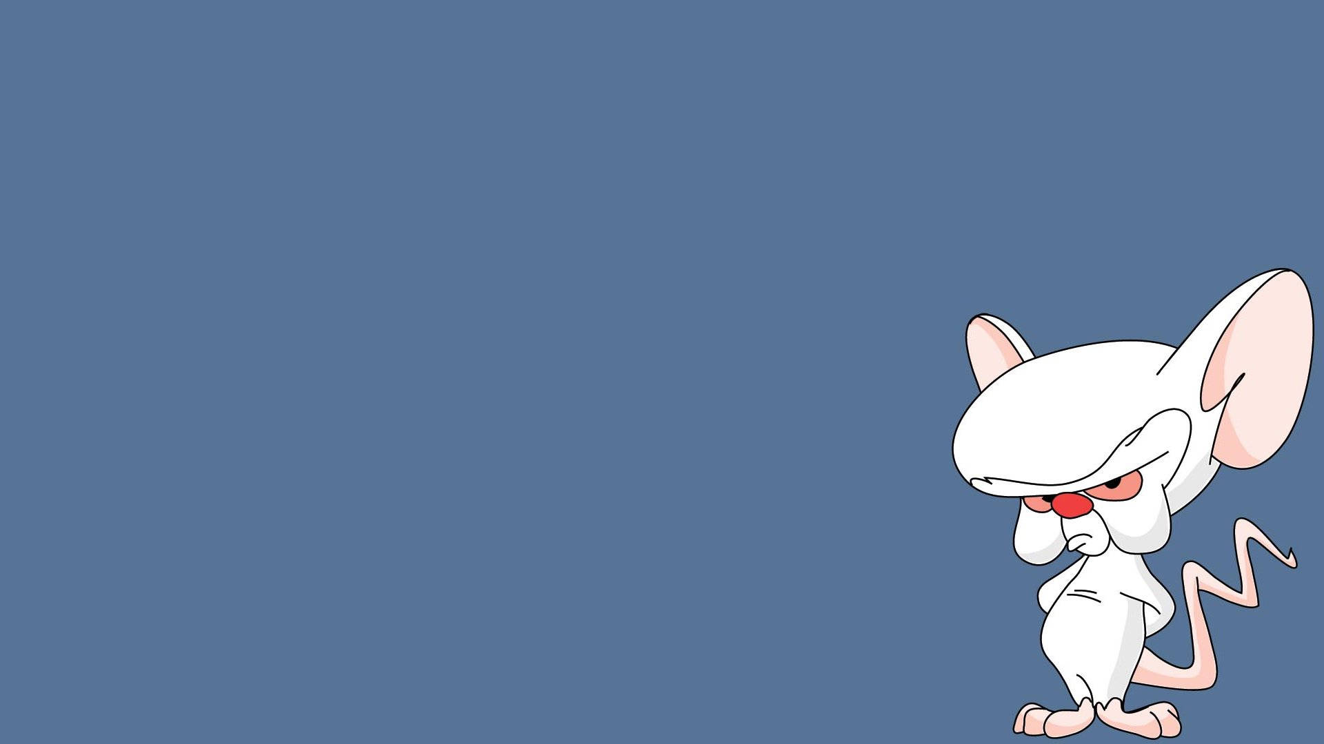 Pinky And The Brain Alone Background