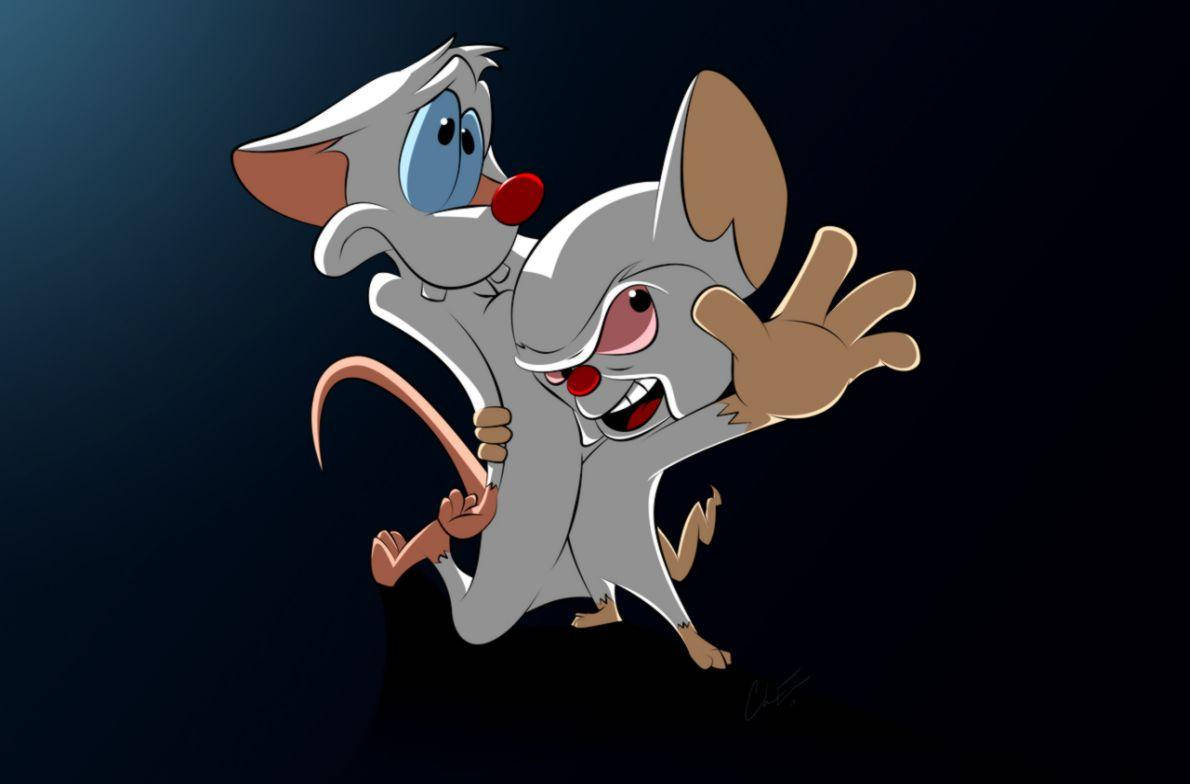 Pinky And The Brain American Tv Background