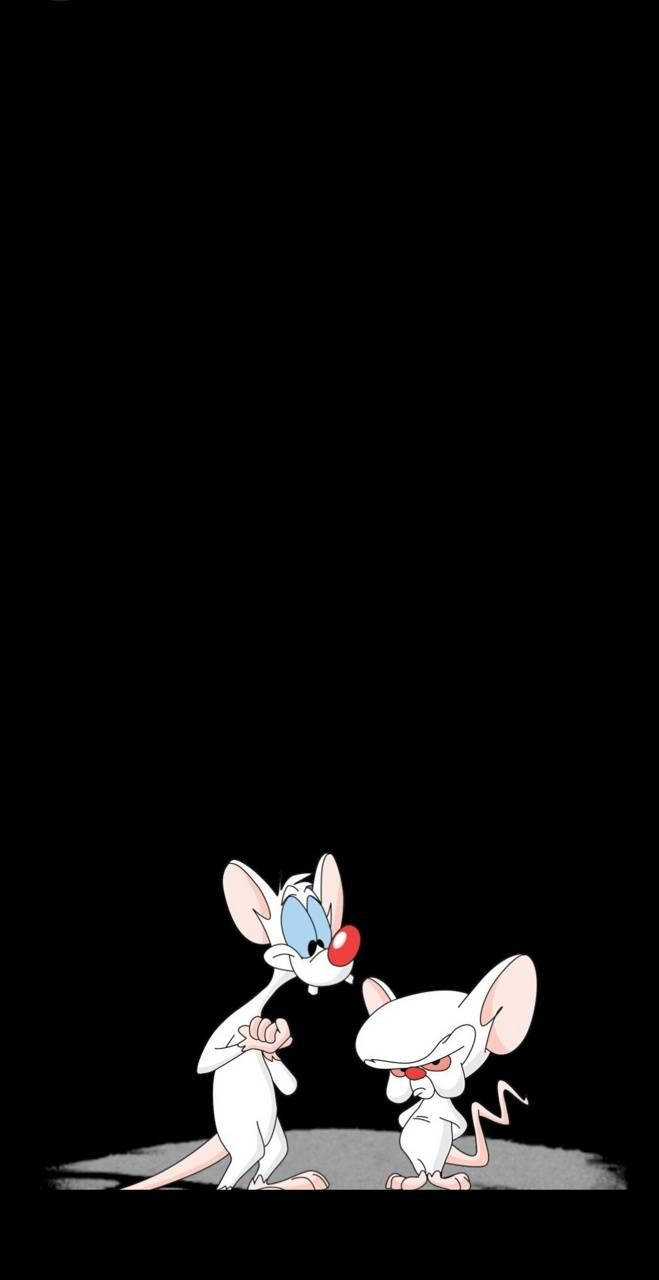 Pinky And The Brain Black Background Background