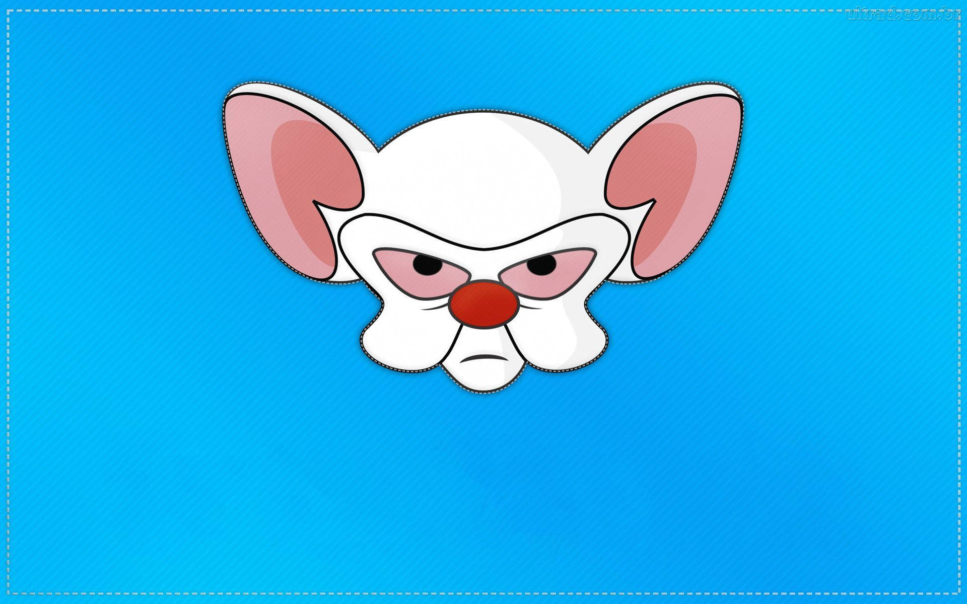 Pinky And The Brain Blue Art Background