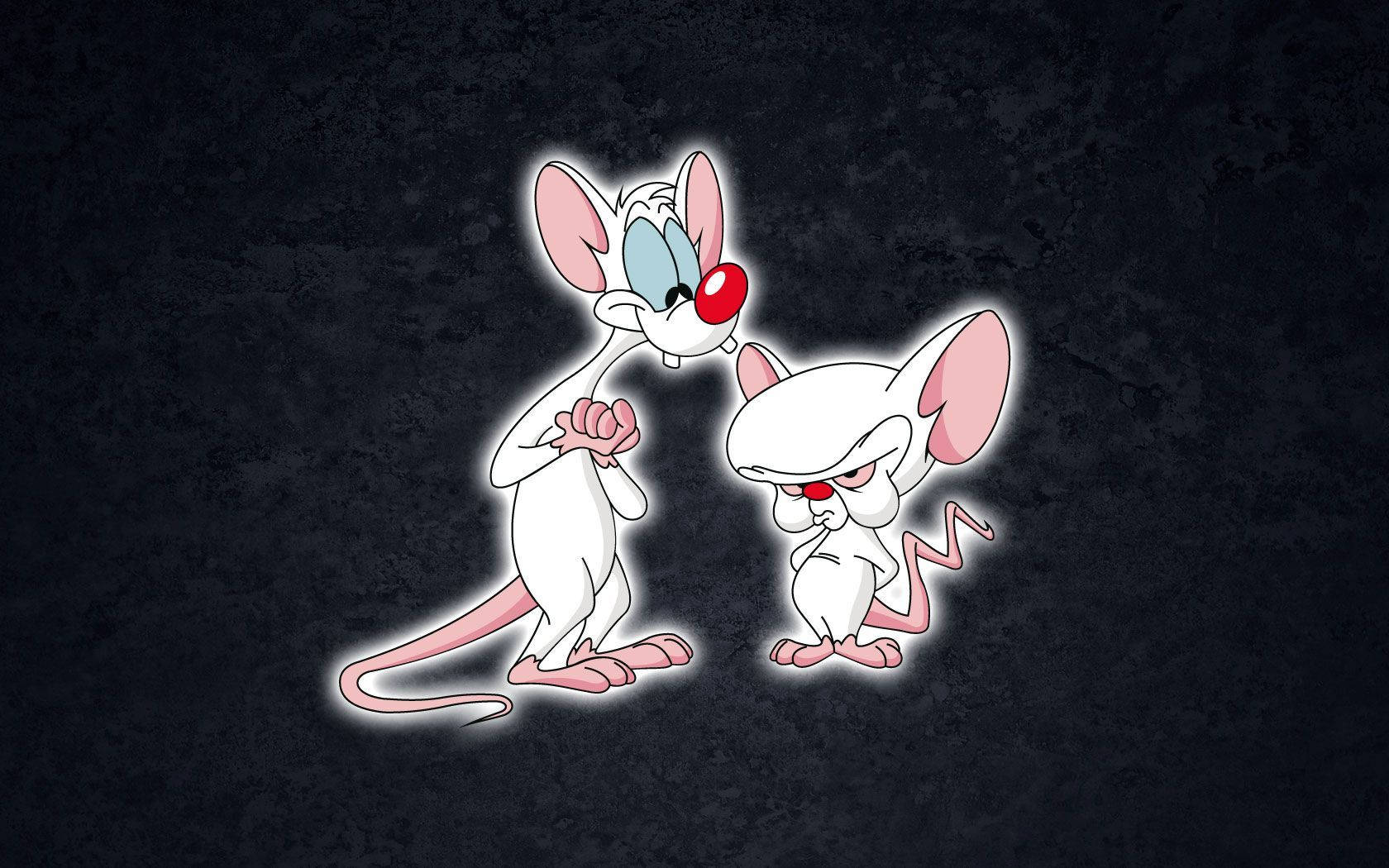 Pinky And The Brain Digital Art Background
