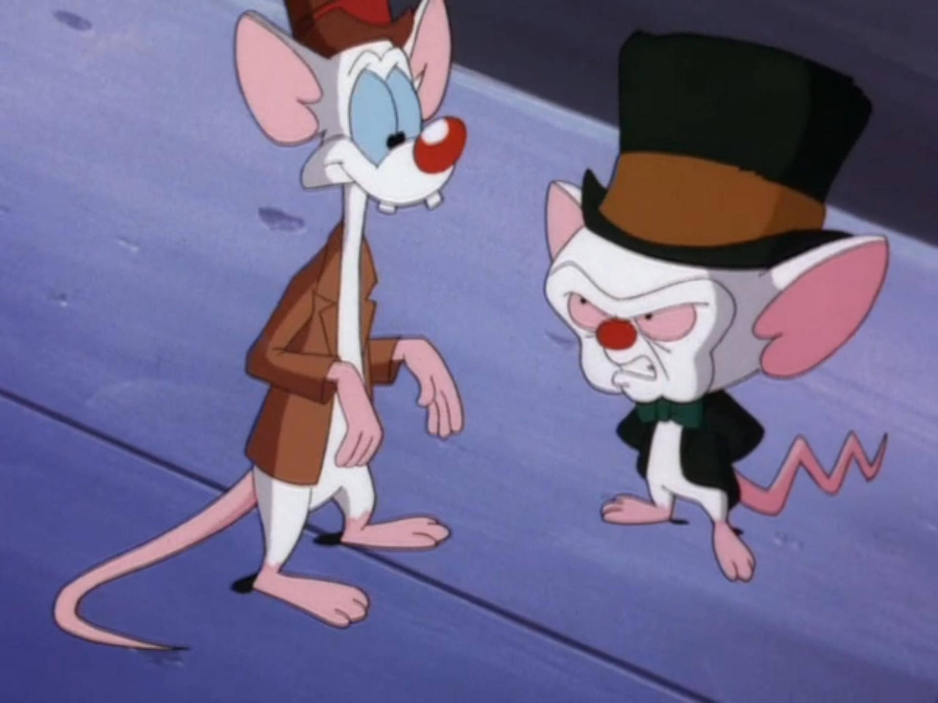 Pinky And The Brain Film Scene Background