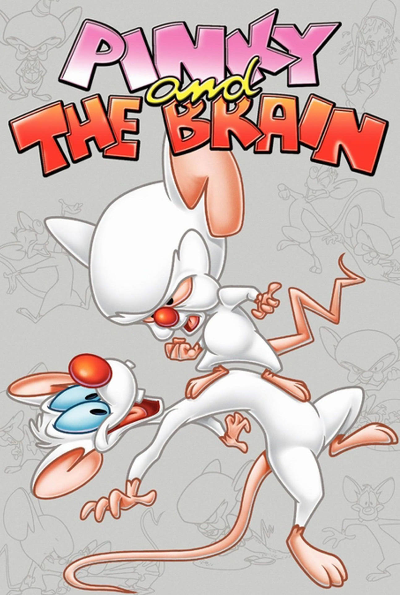 Pinky And The Brain Grey Poster Background