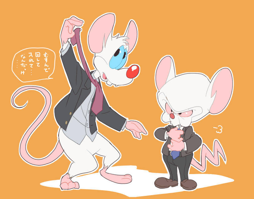 Pinky And The Brain Orange Background Background