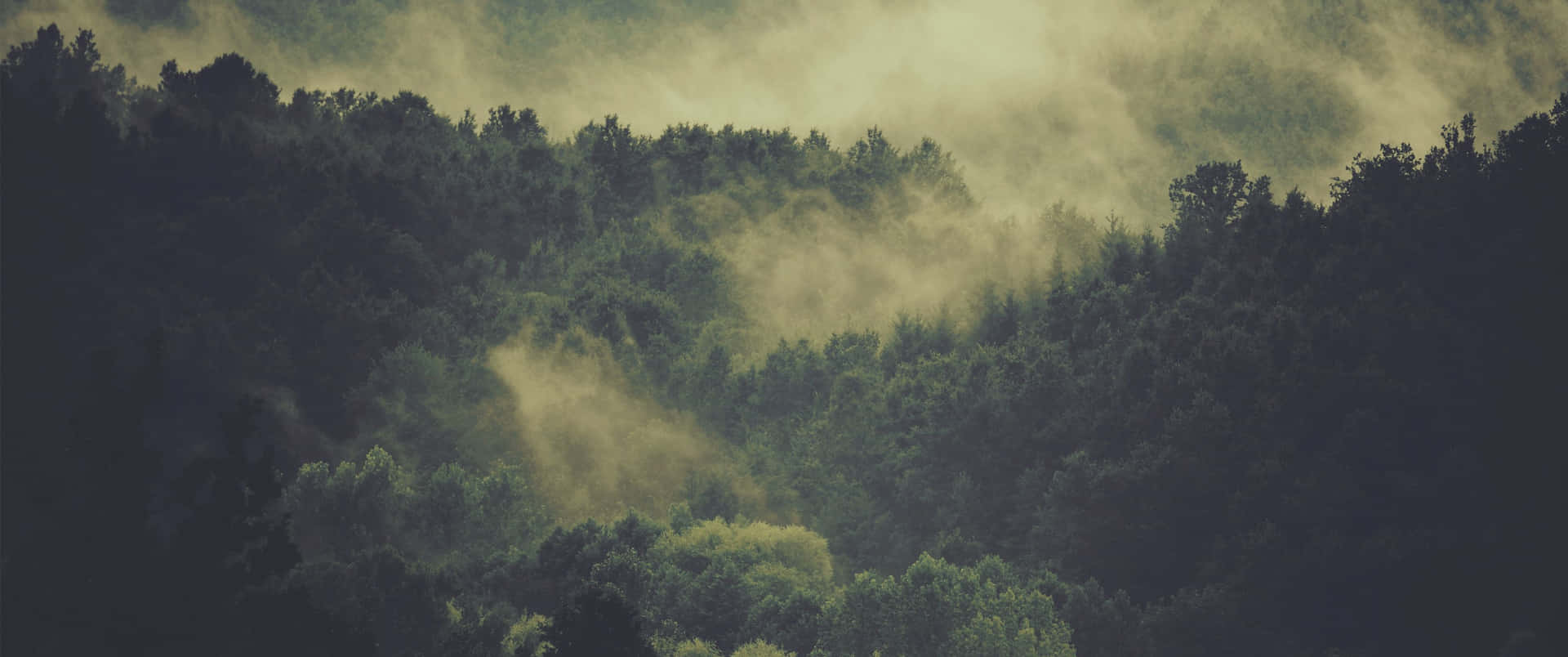 Pinnacle Of Clarity - The Ultimate 3440x1440 Hd Wallpaper Background