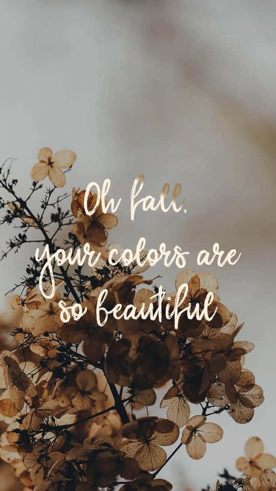 Pinterest Beautiful Autumn Colors Quote Background