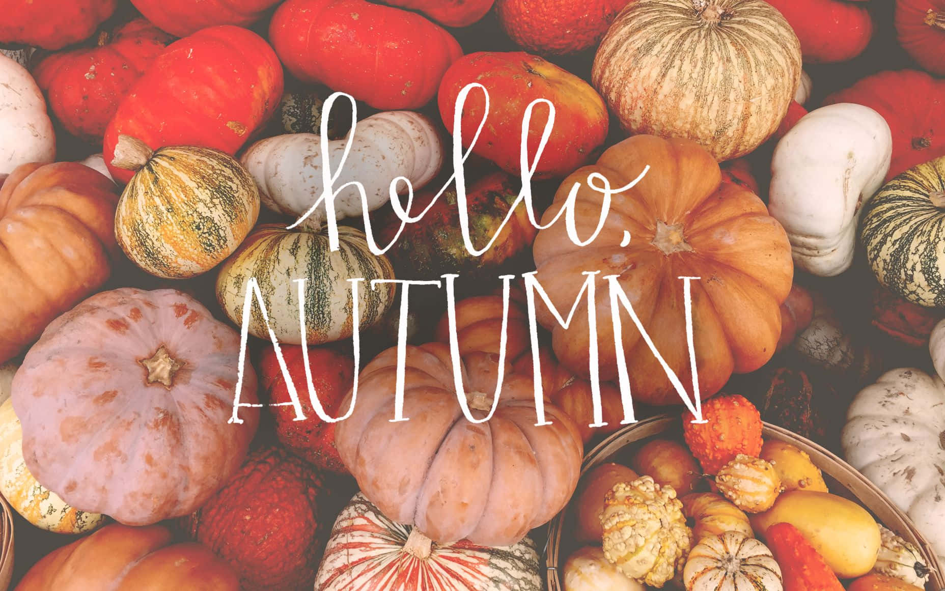 Pinterest Hello Autumn Pumpkin Pile