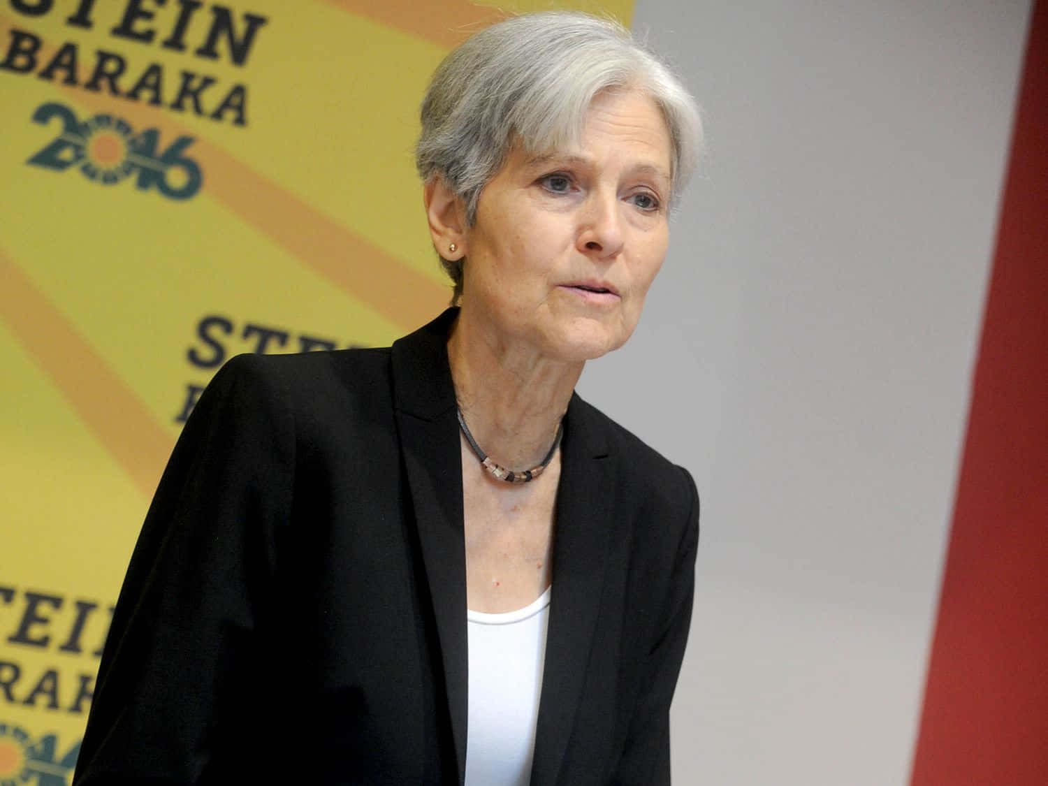 Pioneering Environmental Health Advocate Jill Stein
