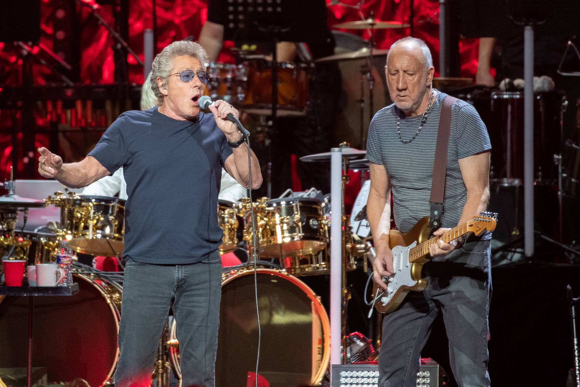 Pioneers Of Rock - The Who's Two Lead Vocalists Background