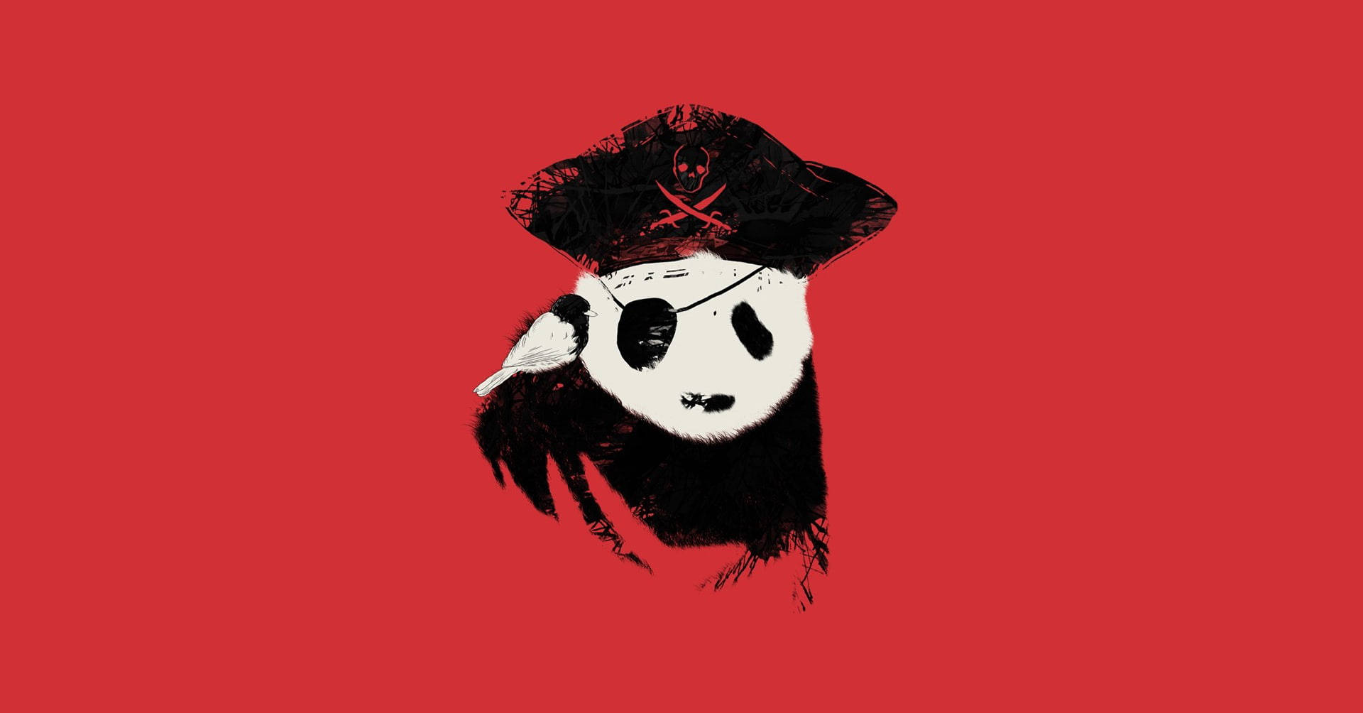 Pirate Panda Coolest Desktop Background