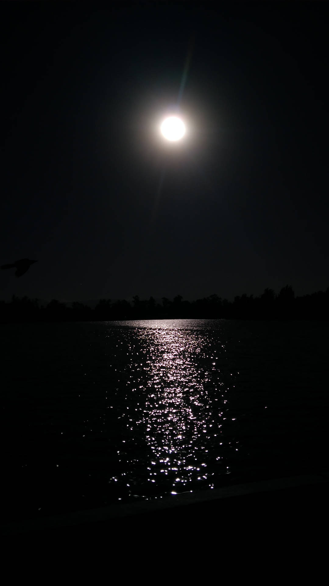 Pitch Black Calm Ocean With Sun Background