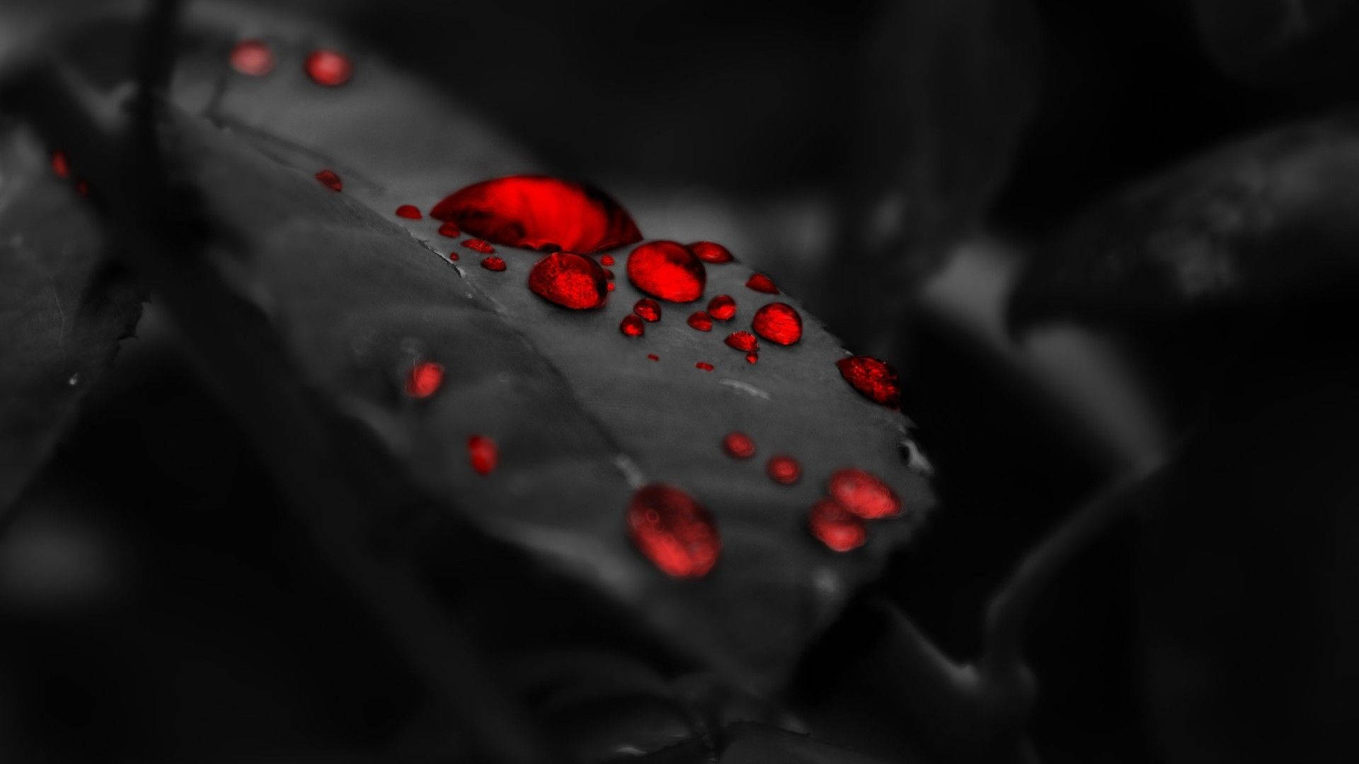 Pitch Black Leaves With Red Droplets Background