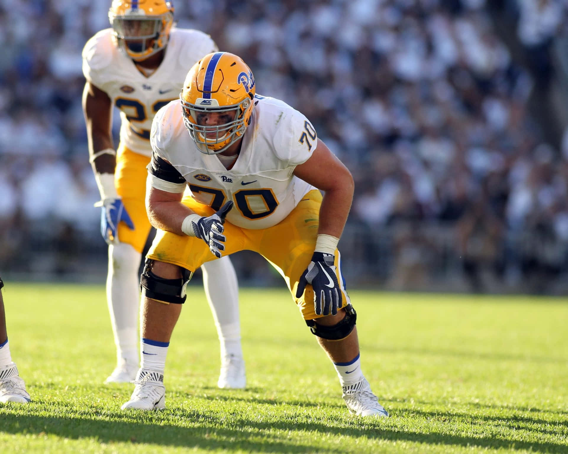 Pittsburgh Panthers Brian O'neillin Defensive Position Background
