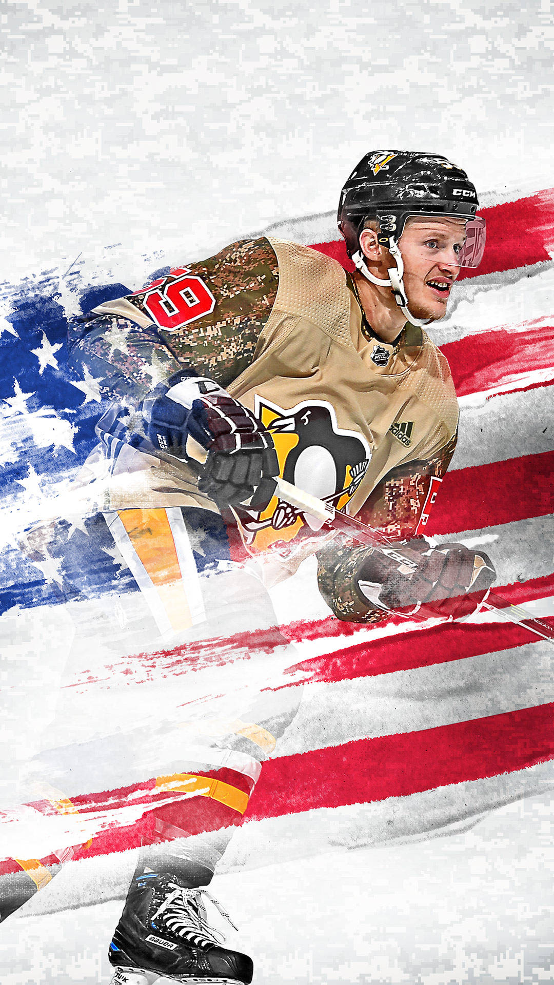 Pittsburgh Penguins American Team Background