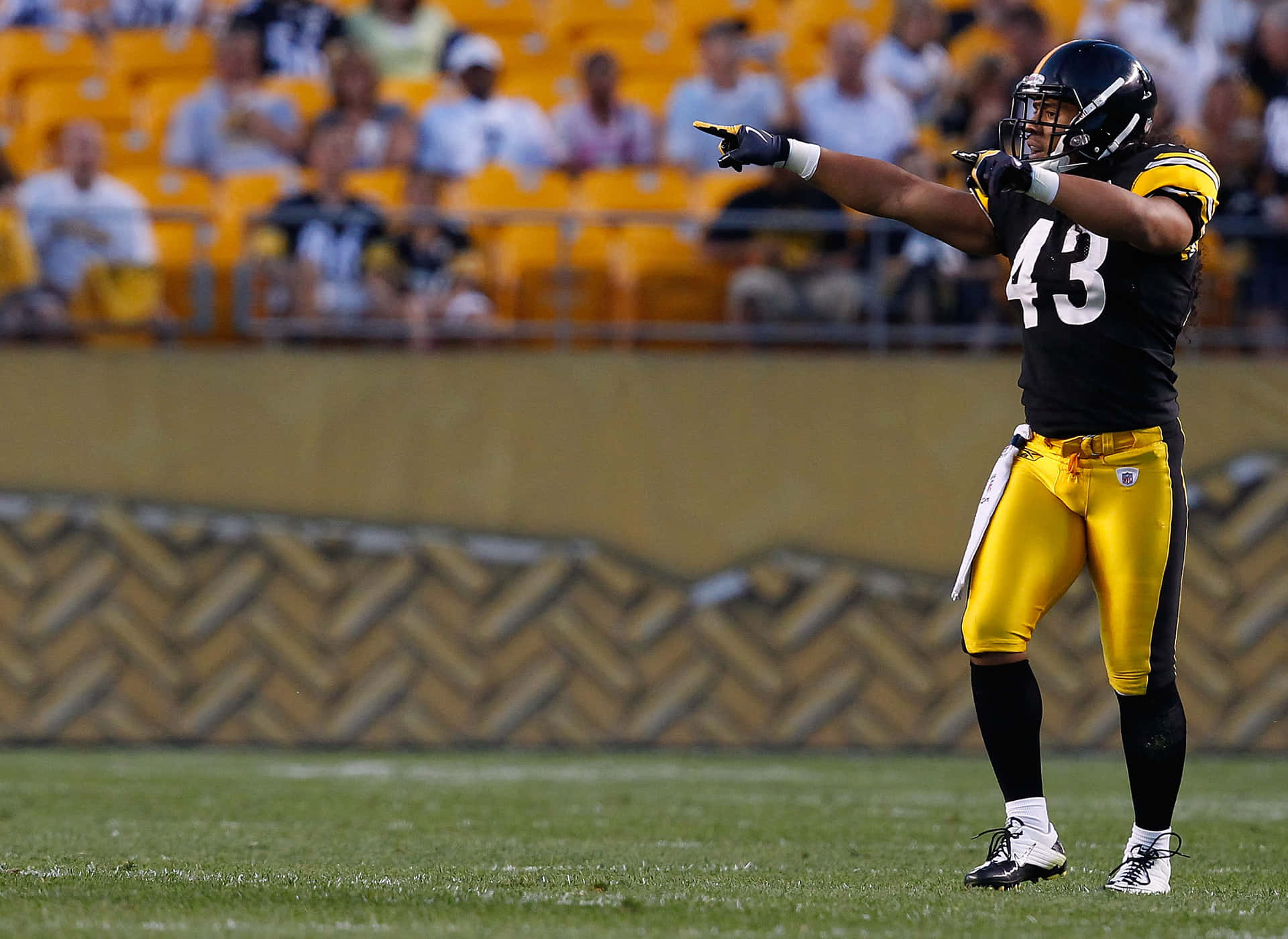 Pittsburgh Steelers Safety Troy Polamalu On The Field Background