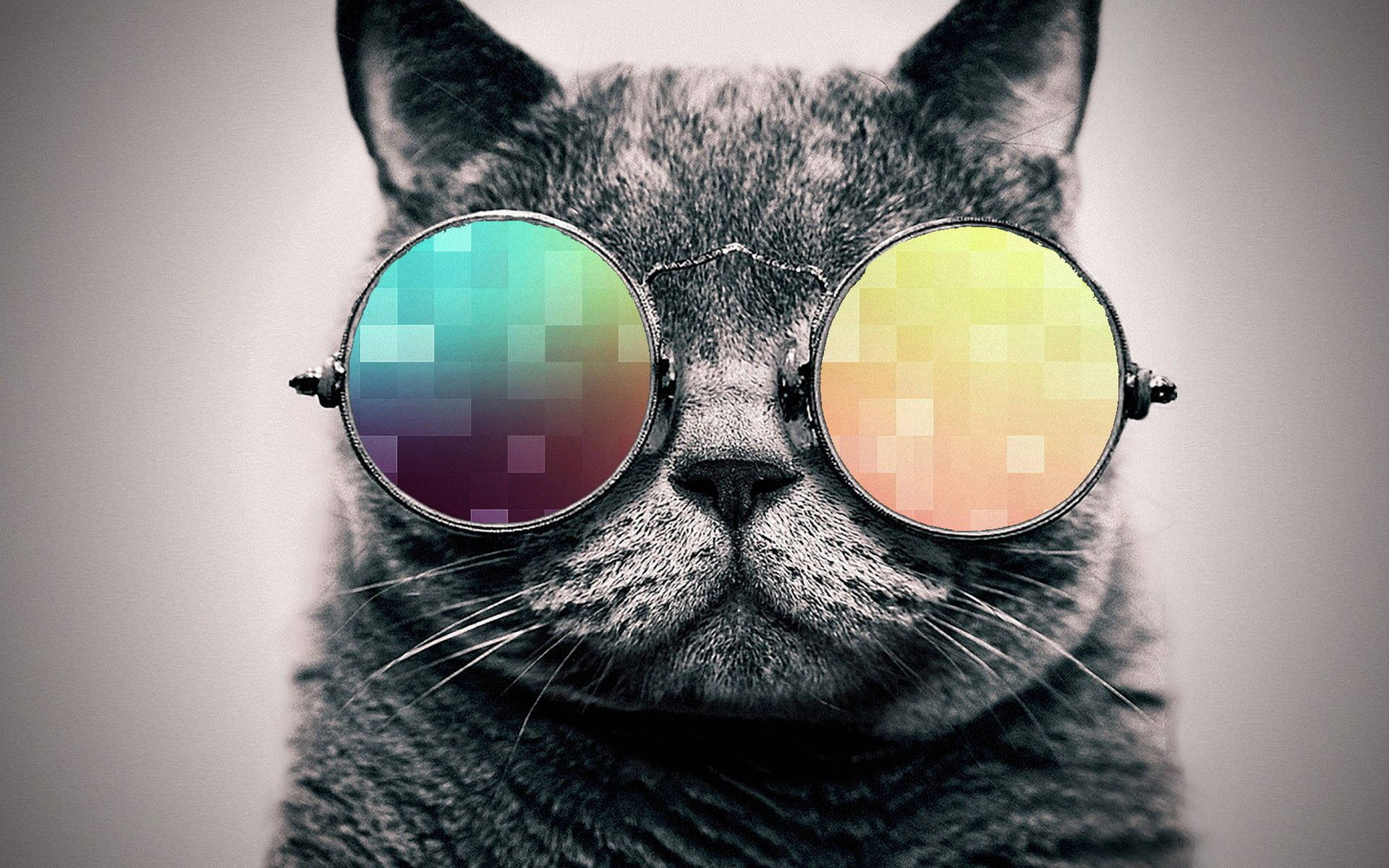 Pixel Chic Cool Cat Background