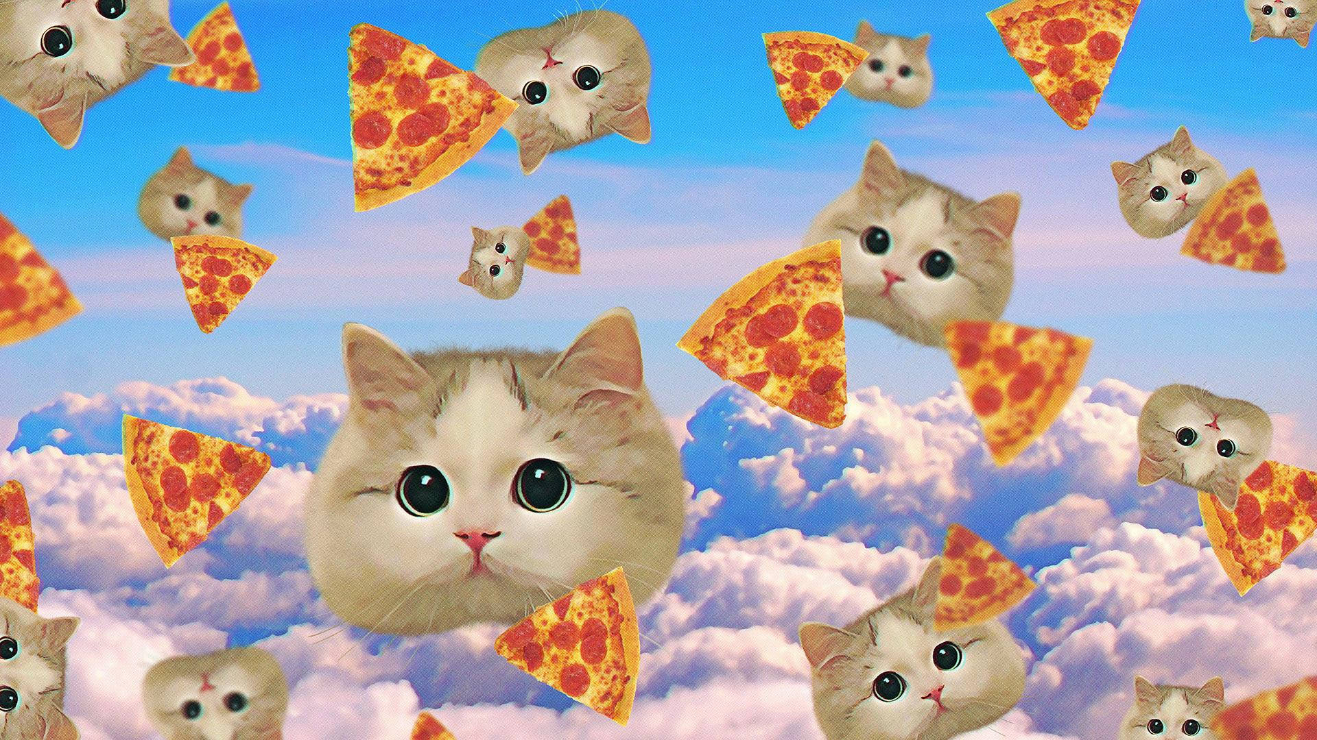 Pizza And Cats