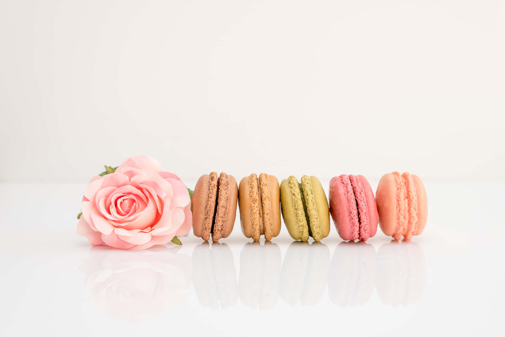 Placed In Line Macaron With Rose Background