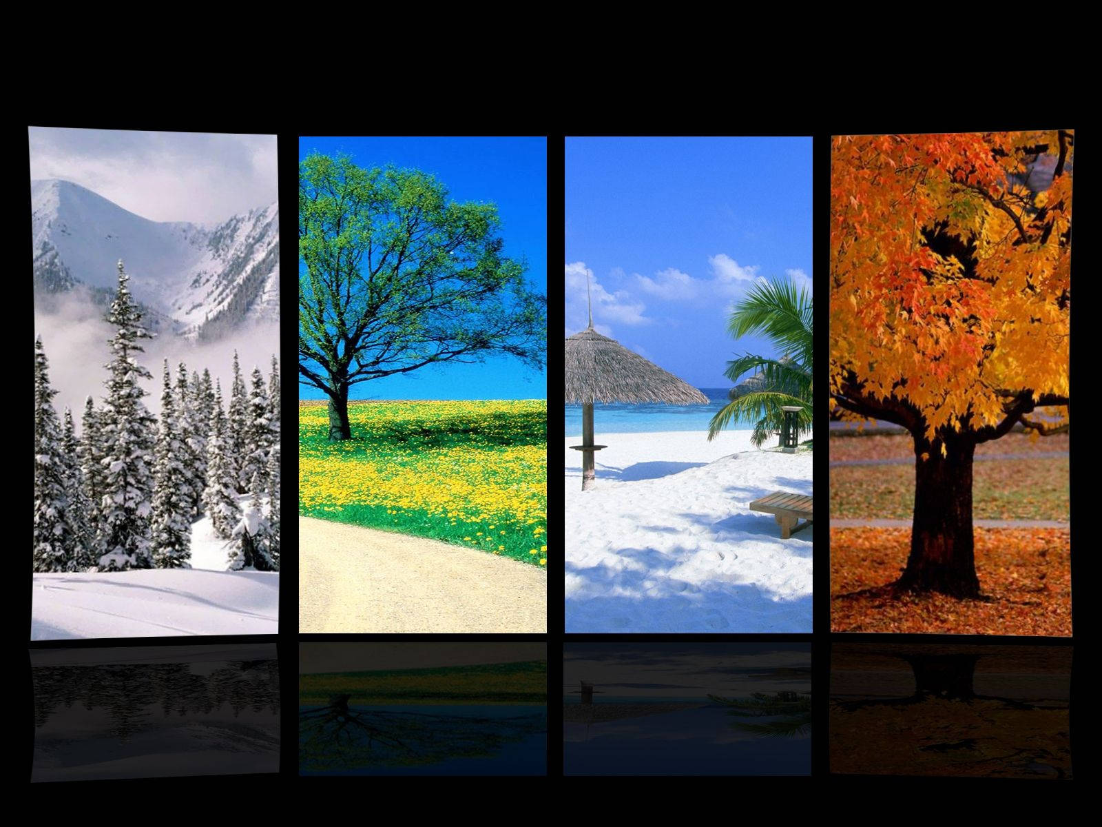 Places During Seasons