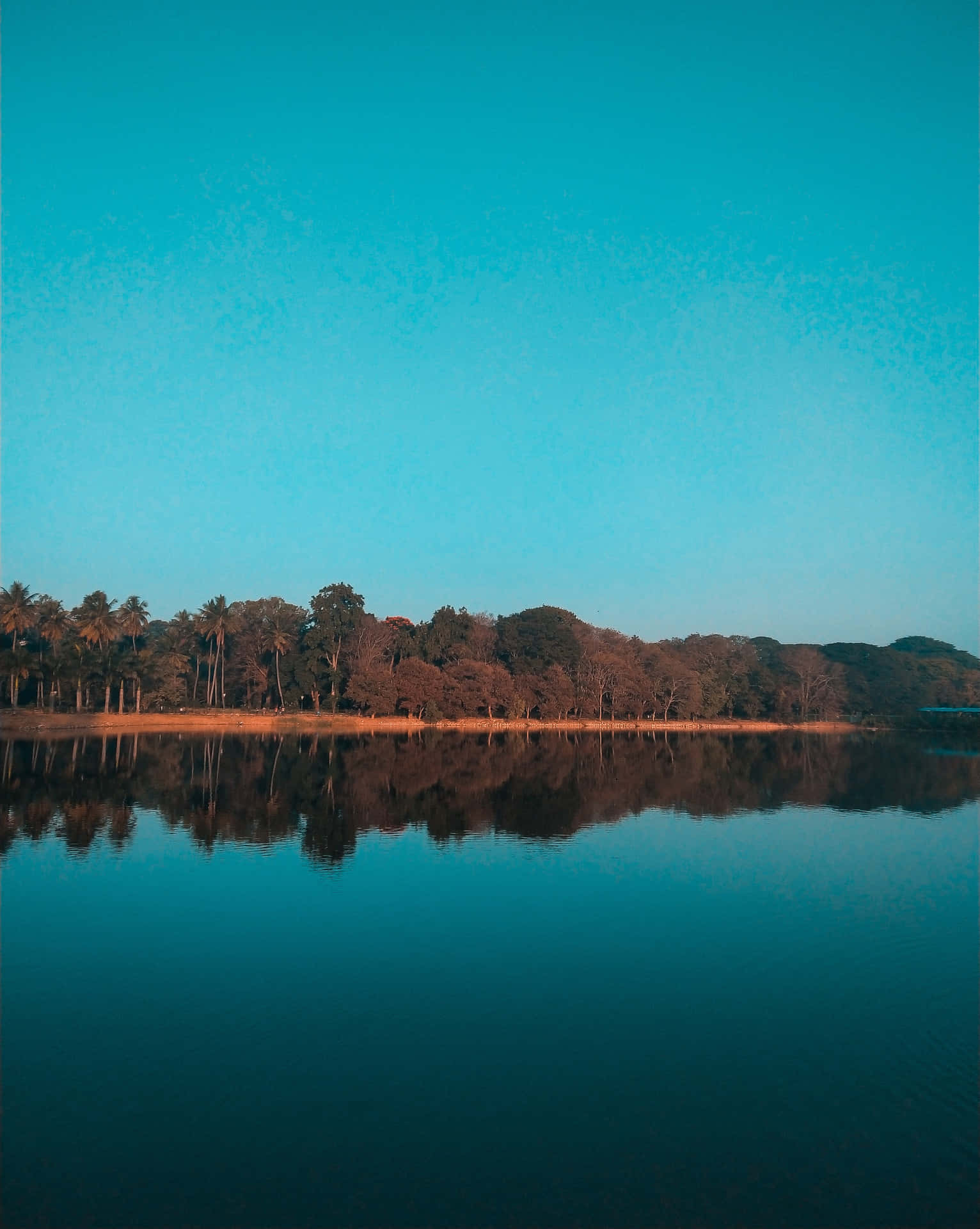 Placid Afternoon In The Lake Background